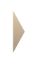 cs_31