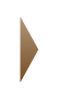 cs_33